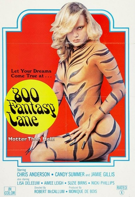 800 fantasy lane türkçe altyazılı Vintage erotik izle
